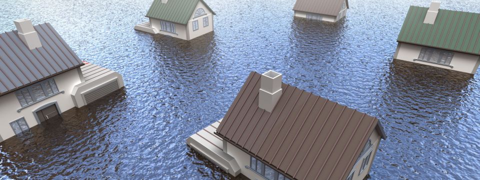 Water Mitigation